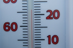 DSCN7461