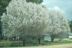 DSCN7613