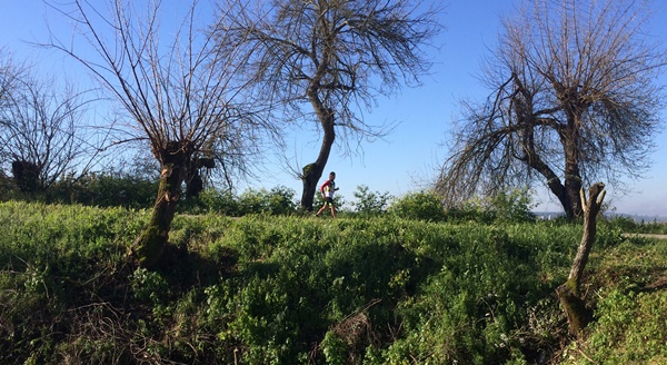 E31: Mardi 1er mars // Mouriscas – Ribeira de Santarem