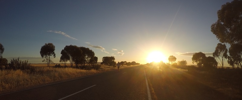 E295: Dimanche 20 Novembre // Willowie – Winninowie