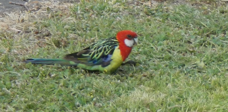 E285: Jeudi 10 Novembre