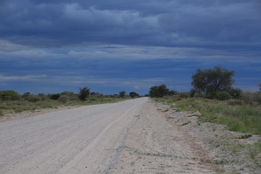 E369: Jeudi 2 Février // Leeupan Farm (- 40km) – (+25km)