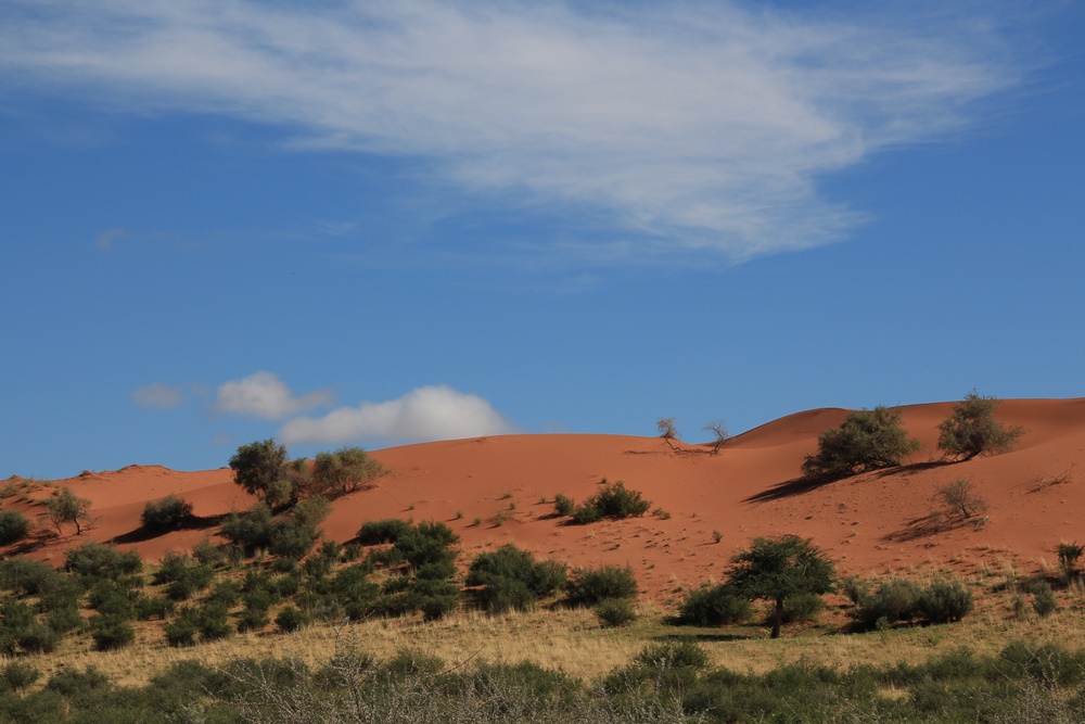 E374: Mardi 7 Février // Aroab (+16km) – GraussAub (+21km)