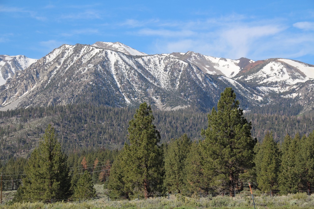 E126: Samedi 4 Juin // US  395 (Crowley lake) – Conway  Summit
