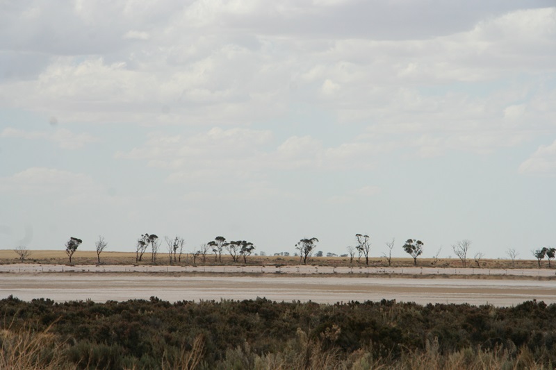 E335: Vendredi 30 Décembre // Newdegate – Lake Grace