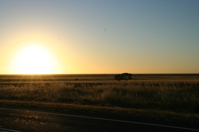 E277: Mercredi 2 novembre // Keri Keri – Balranald