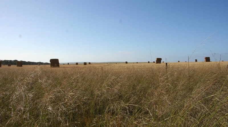 E331: Lundi 26 Décembre // Stokes Intel Road – Jerdacuttup