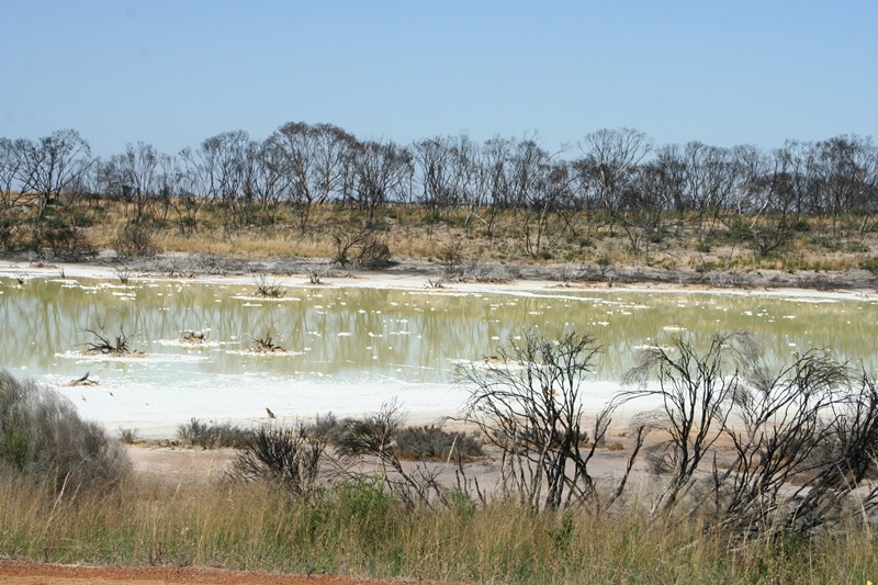 E329: Samedi 24 Décembre // Grass Patch – Monjingup