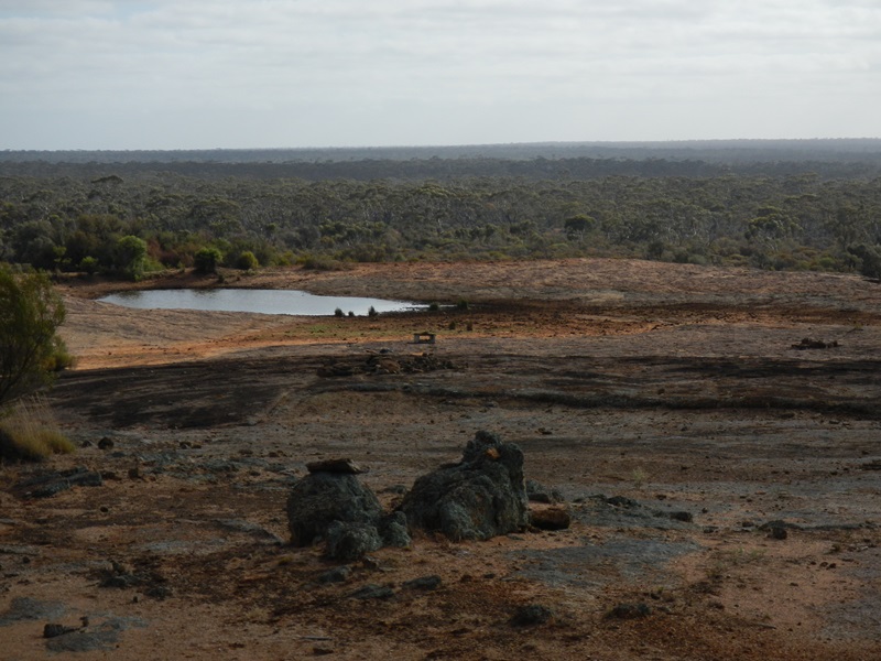 E324: Lundi 19 Décembre // Balladonia (+45km) – Fraser Range (+17km)