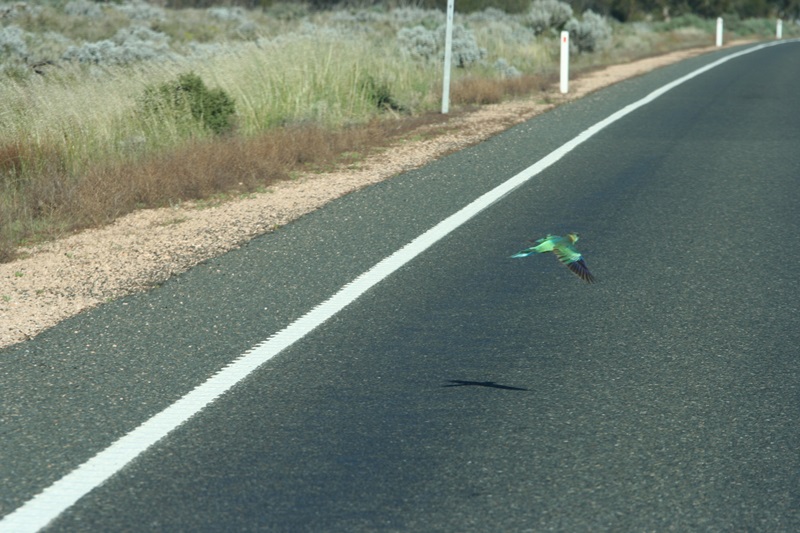 E292: mi route Morgan/Burra – Mount Bryan