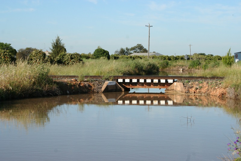 E273: Samedi 29 Octobre // Yanco – Darlington Point (+10km)