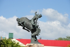 06