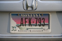 44