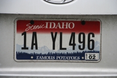46