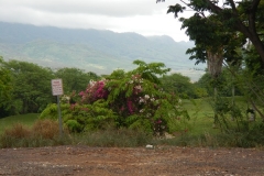 DSCN8821