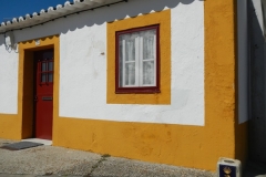 DSCN6558