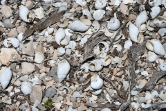 3b