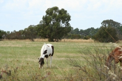9b
