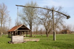 07