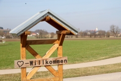 06