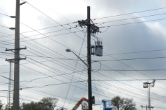 DSCN7246